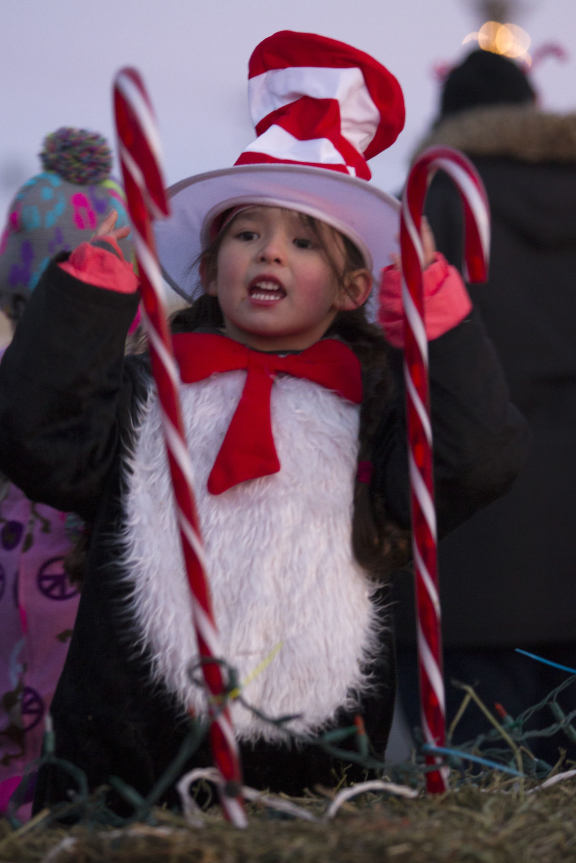 The Festival of Lights Parade